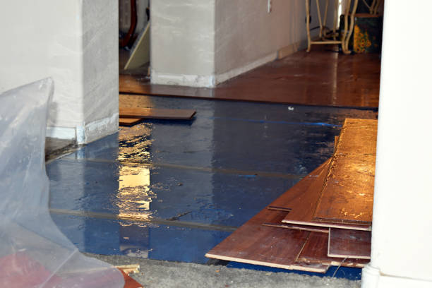 Professional Basement Flood Cleanup technician working in Cadet, MO